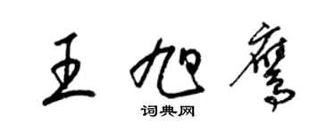 梁錦英王旭鷹草書個性簽名怎么寫