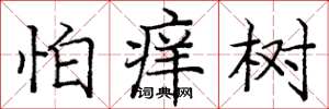 龐中華怕癢樹楷書怎么寫