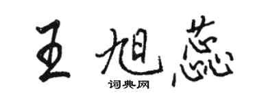 駱恆光王旭蕊行書個性簽名怎么寫