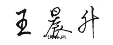 駱恆光王晨升行書個性簽名怎么寫