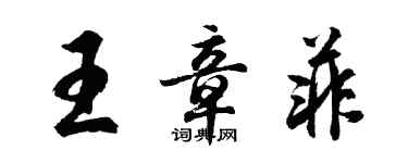 胡問遂王章菲行書個性簽名怎么寫