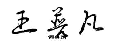 曾慶福王普凡草書個性簽名怎么寫