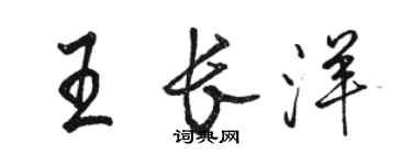 駱恆光王長洋行書個性簽名怎么寫