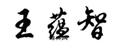 胡問遂王蘊智行書個性簽名怎么寫