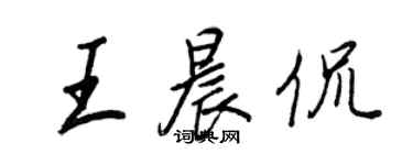 王正良王晨侃行書個性簽名怎么寫