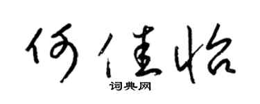 梁錦英何佳怡草書個性簽名怎么寫