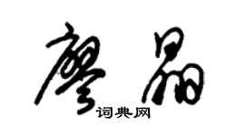朱錫榮廖晶草書個性簽名怎么寫