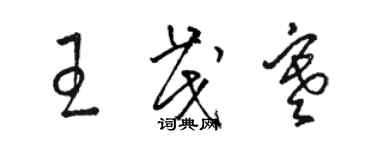 駱恆光王茂寒草書個性簽名怎么寫