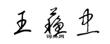 梁錦英王蘇忠草書個性簽名怎么寫