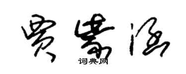 朱錫榮賈紫涵草書個性簽名怎么寫