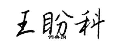 王正良王盼科行書個性簽名怎么寫