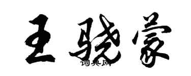 胡問遂王驍蒙行書個性簽名怎么寫