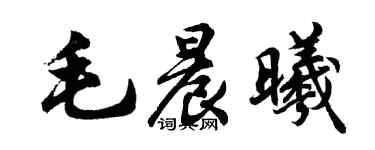 胡問遂毛晨曦行書個性簽名怎么寫