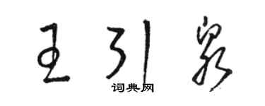 駱恆光王引泉草書個性簽名怎么寫