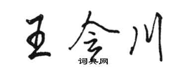 駱恆光王會川行書個性簽名怎么寫