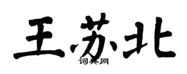 翁闓運王蘇北楷書個性簽名怎么寫