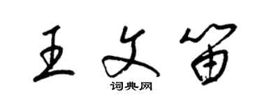 梁錦英王文笛草書個性簽名怎么寫