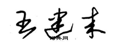 朱錫榮王建來草書個性簽名怎么寫