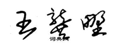 朱錫榮王龔野草書個性簽名怎么寫