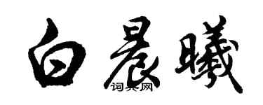 胡問遂白晨曦行書個性簽名怎么寫