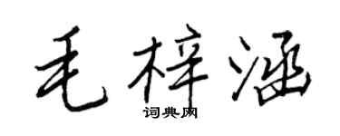 王正良毛梓涵行書個性簽名怎么寫