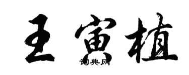 胡問遂王寅植行書個性簽名怎么寫
