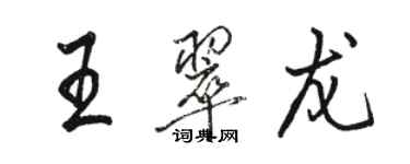 駱恆光王翠龍行書個性簽名怎么寫