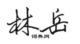駱恆光林岳行書個性簽名怎么寫