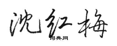 駱恆光沈紅梅行書個性簽名怎么寫