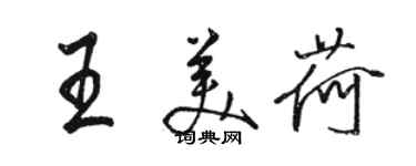 駱恆光王美荷行書個性簽名怎么寫