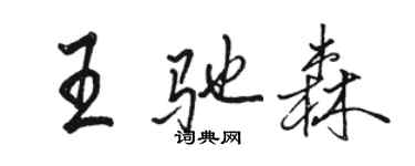 駱恆光王馳森行書個性簽名怎么寫