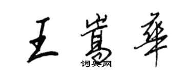 王正良王嵩華行書個性簽名怎么寫