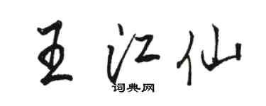 駱恆光王江仙行書個性簽名怎么寫