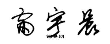 朱錫榮雷宇晨草書個性簽名怎么寫