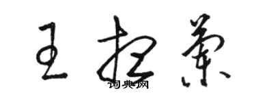 駱恆光王想蘭草書個性簽名怎么寫