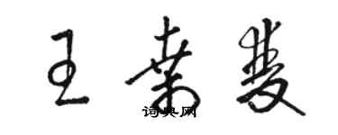 駱恆光王桑雙草書個性簽名怎么寫