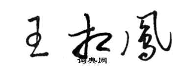 駱恆光王相鳳草書個性簽名怎么寫
