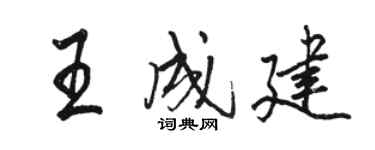 駱恆光王成建行書個性簽名怎么寫