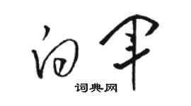 駱恆光白軍草書個性簽名怎么寫