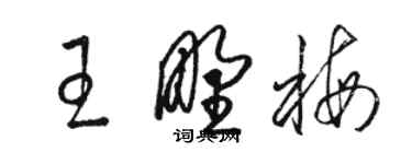 駱恆光王野梅草書個性簽名怎么寫