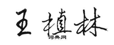 駱恆光王植林行書個性簽名怎么寫
