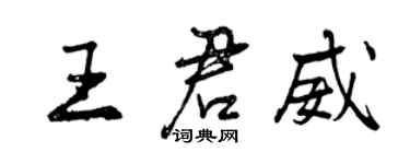 曾慶福王君威行書個性簽名怎么寫