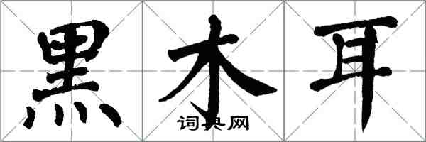 翁闓運黑木耳楷書怎么寫