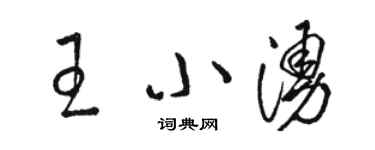 駱恆光王小涌草書個性簽名怎么寫