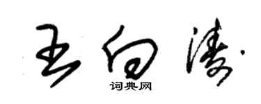 朱錫榮王向濤草書個性簽名怎么寫