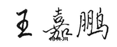 駱恆光王嘉鵬行書個性簽名怎么寫