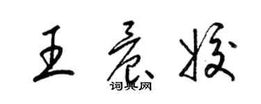 梁錦英王晨姣草書個性簽名怎么寫