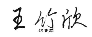 駱恆光王竹欣行書個性簽名怎么寫