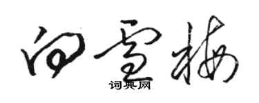 駱恆光向雪梅草書個性簽名怎么寫