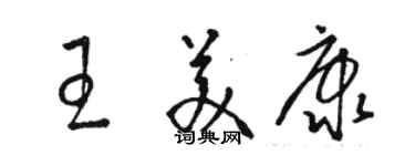 駱恆光王美康草書個性簽名怎么寫